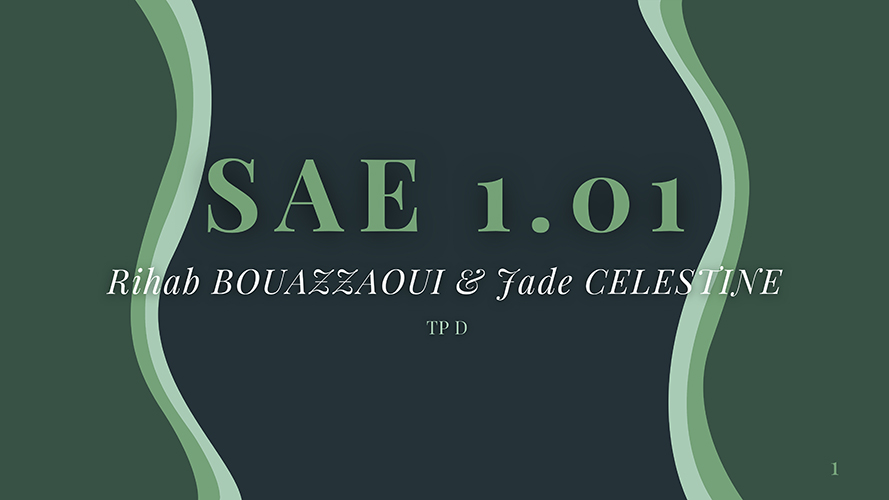 Image du projet