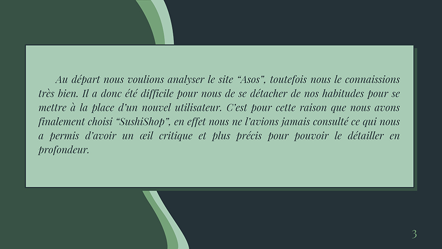 Troisième image du projet avec un lien menant à un pop-up agrandissant cette image